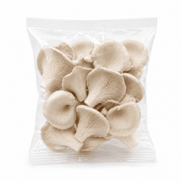 Oyster Mushroom